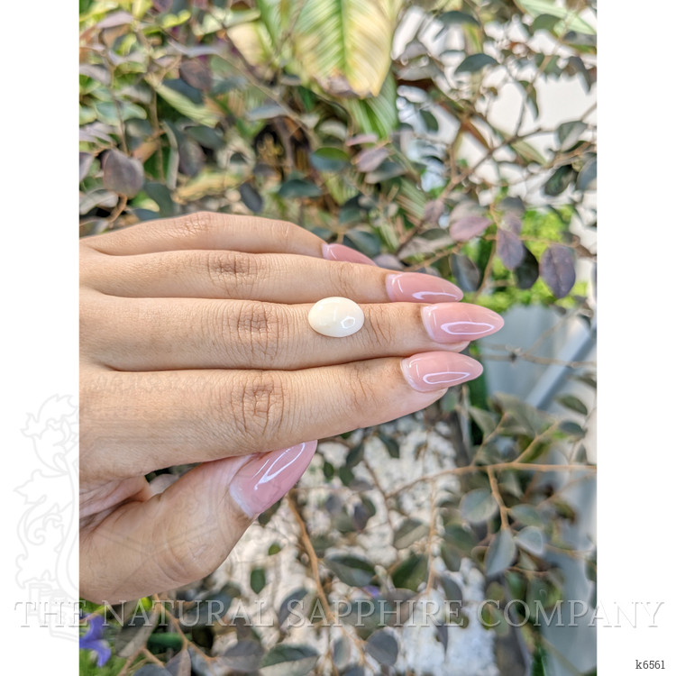 3.62 Ct. Cabochon Coral from Australia