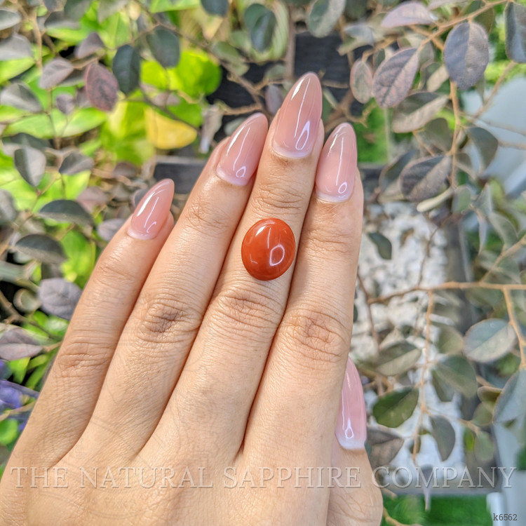 4.27 Ct. Cabochon Coral from Italy