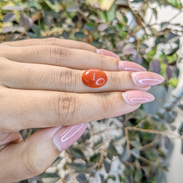 4.27 Ct. Cabochon Coral from Italy