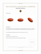 3.52 Ct. Cabochon Coral from Italy Appraisal