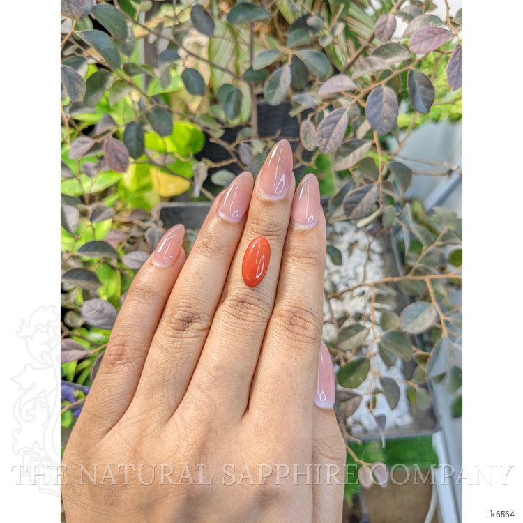 3.52 Ct. Cabochon Coral from Italy