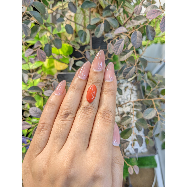 3.52 Ct. Cabochon Coral from Italy