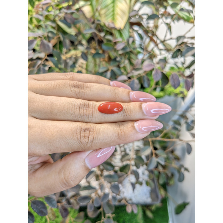 3.52 Ct. Cabochon Coral from Italy