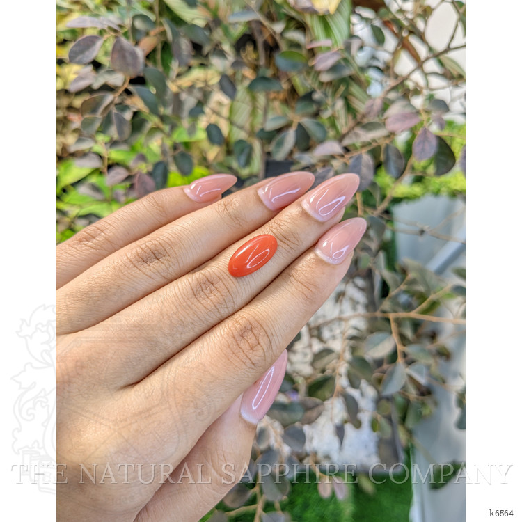 3.52 Ct. Cabochon Coral from Italy