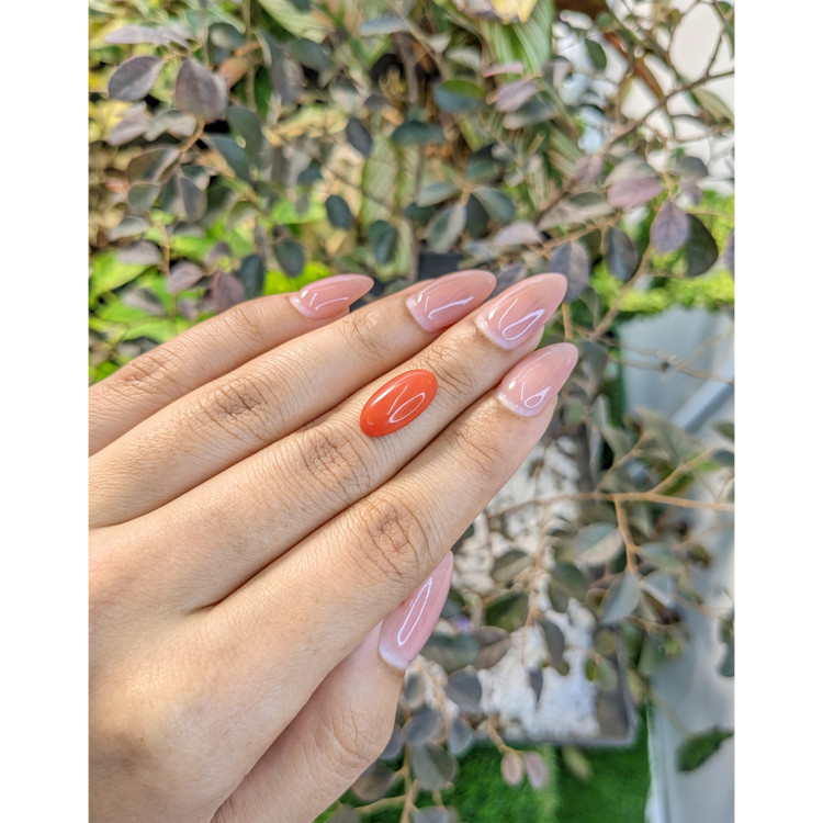 3.52 Ct. Cabochon Coral from Italy