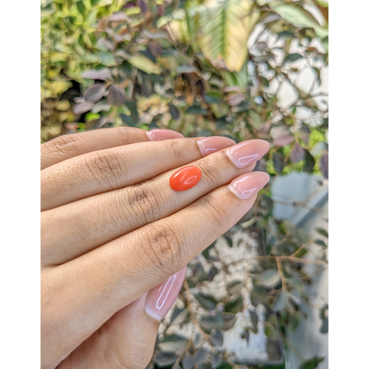 3.15 Ct. Cabochon Coral from Italy