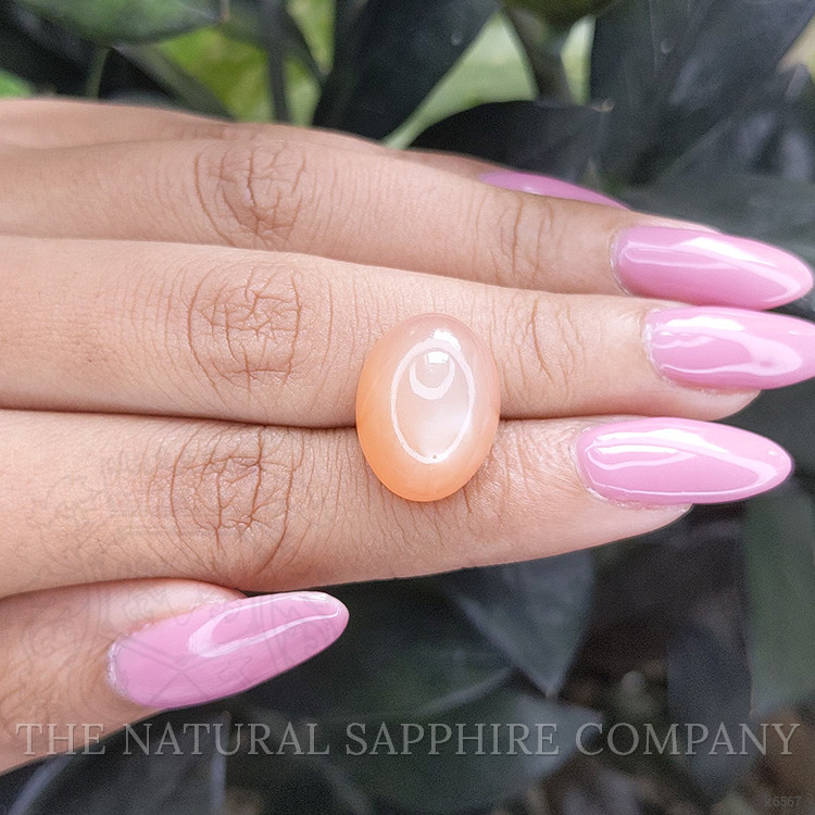 15.50 Ct. Cabochon Moonstone from Ceylon (Sri Lanka)