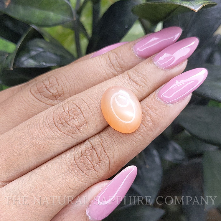 15.50 Ct. Cabochon Moonstone from Ceylon (Sri Lanka)