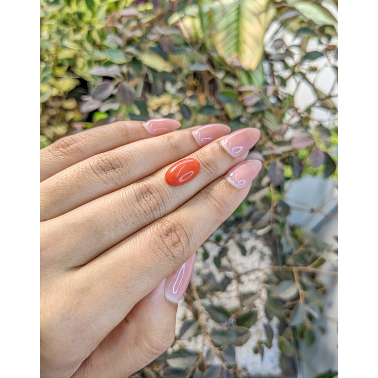 3.13 Ct. Cabochon Coral from Italy
