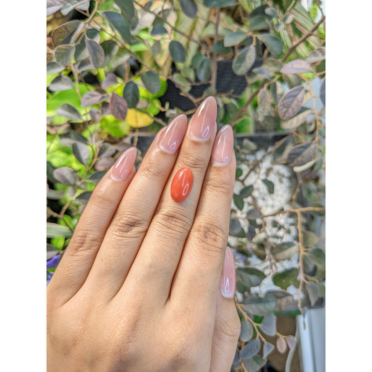 3.13 Ct. Cabochon Coral from Italy