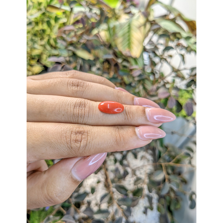 3.13 Ct. Cabochon Coral from Italy