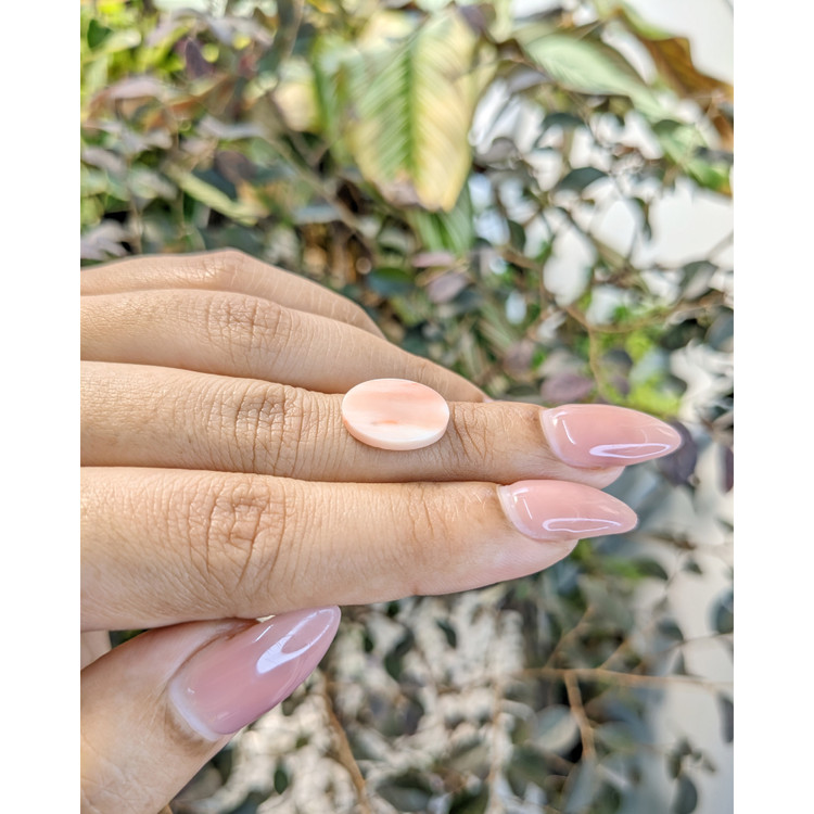 2.94 Ct. Cabochon Coral from Italy