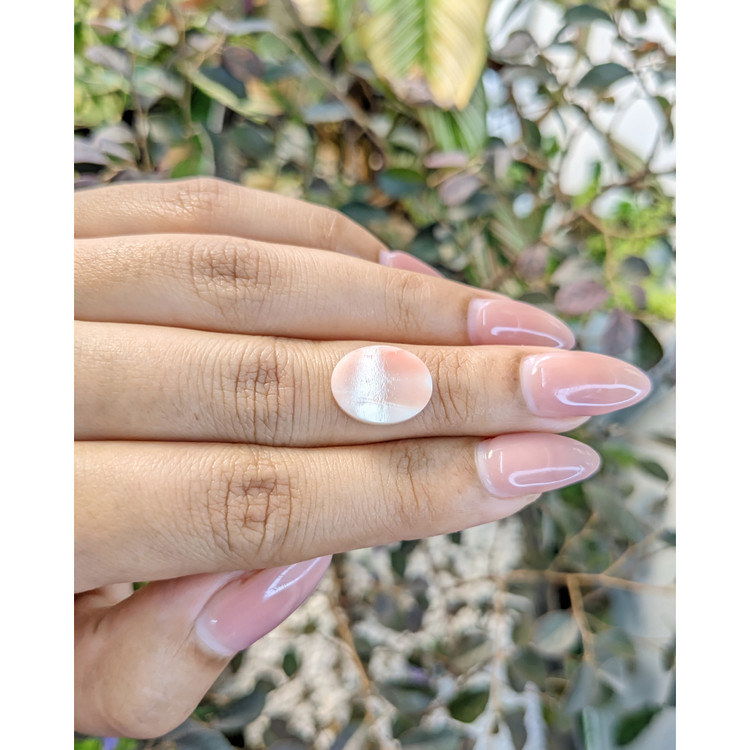 2.94 Ct. Cabochon Coral from Italy