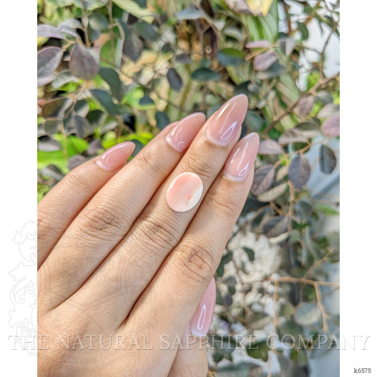 2.94 Ct. Cabochon Coral from Italy