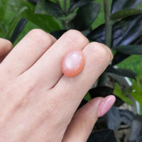 14.30 Ct. Cabochon Moonstone from Ceylon (Sri Lanka) Life Style