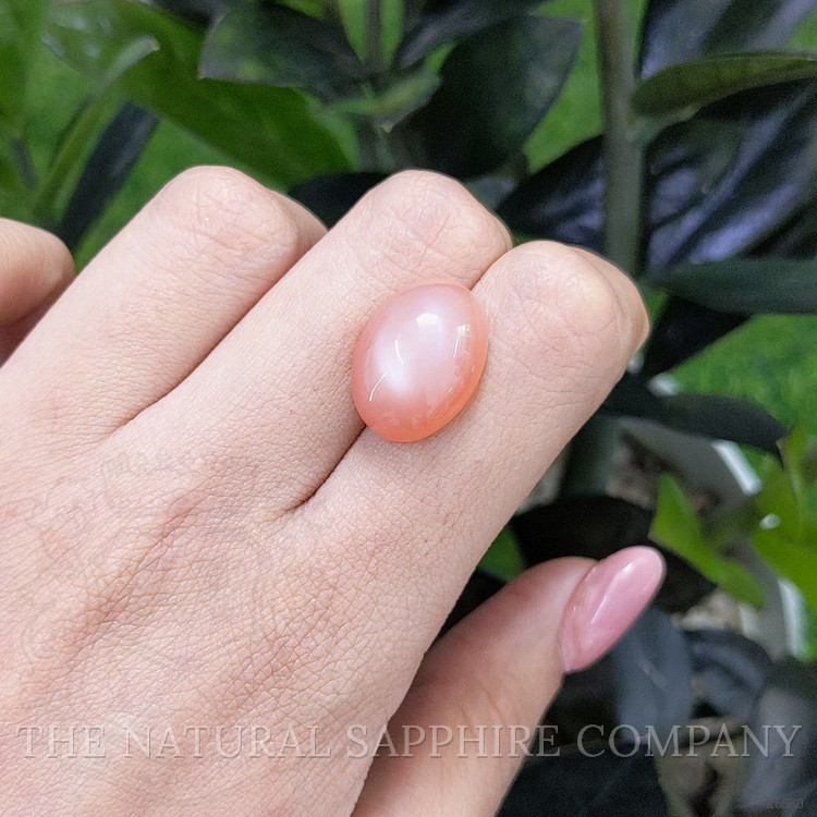 14.30 Ct. Cabochon Moonstone from Ceylon (Sri Lanka)