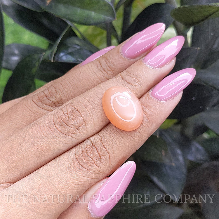 14.30 Ct. Cabochon Moonstone from Ceylon (Sri Lanka)