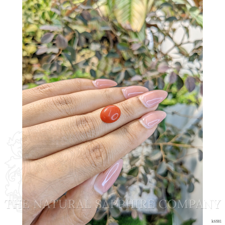 3.51 Ct. Cabochon Coral from Italy