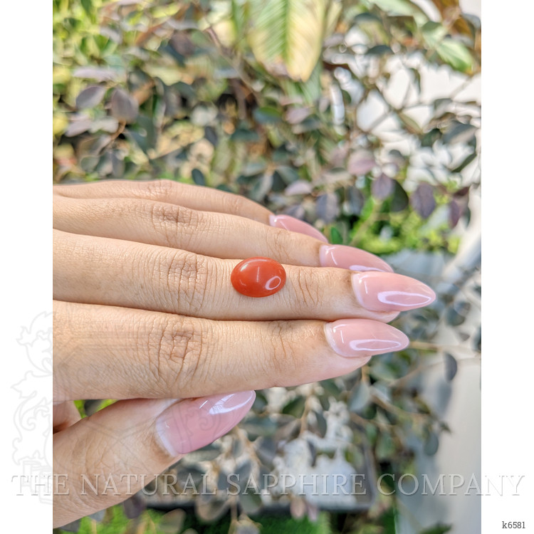 3.51 Ct. Cabochon Coral from Italy