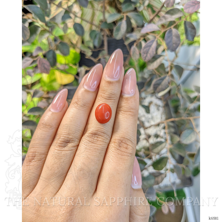 3.51 Ct. Cabochon Coral from Italy
