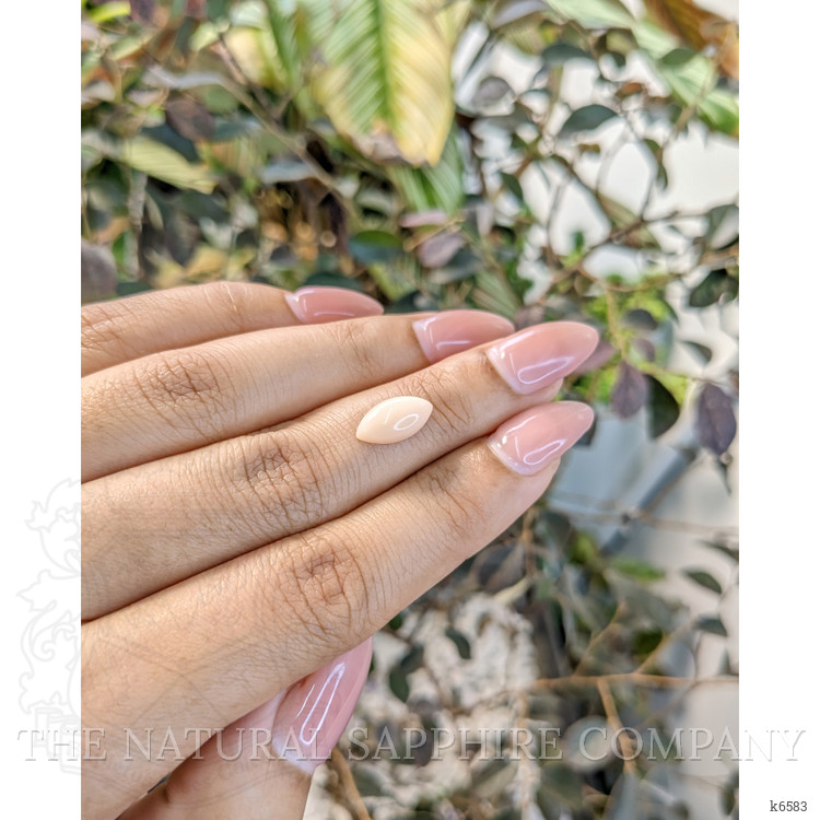 1.83 Ct. Cabochon Coral from Italy