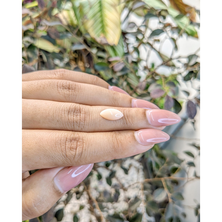 1.83 Ct. Cabochon Coral from Italy