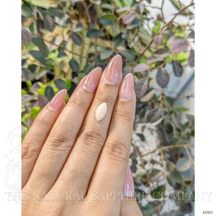 1.83 Ct. Cabochon Coral from Italy