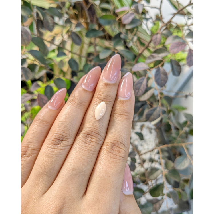 1.83 Ct. Cabochon Coral from Italy