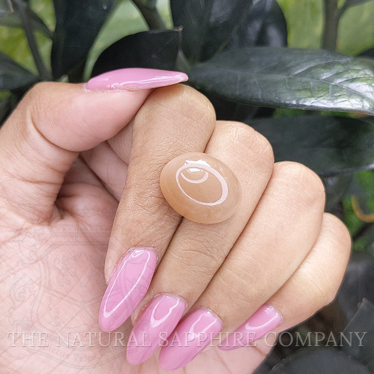 19.93 Ct. Cabochon Moonstone from Ceylon (Sri Lanka)