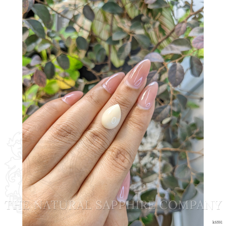 5.00 Ct. Cabochon Coral from Italy