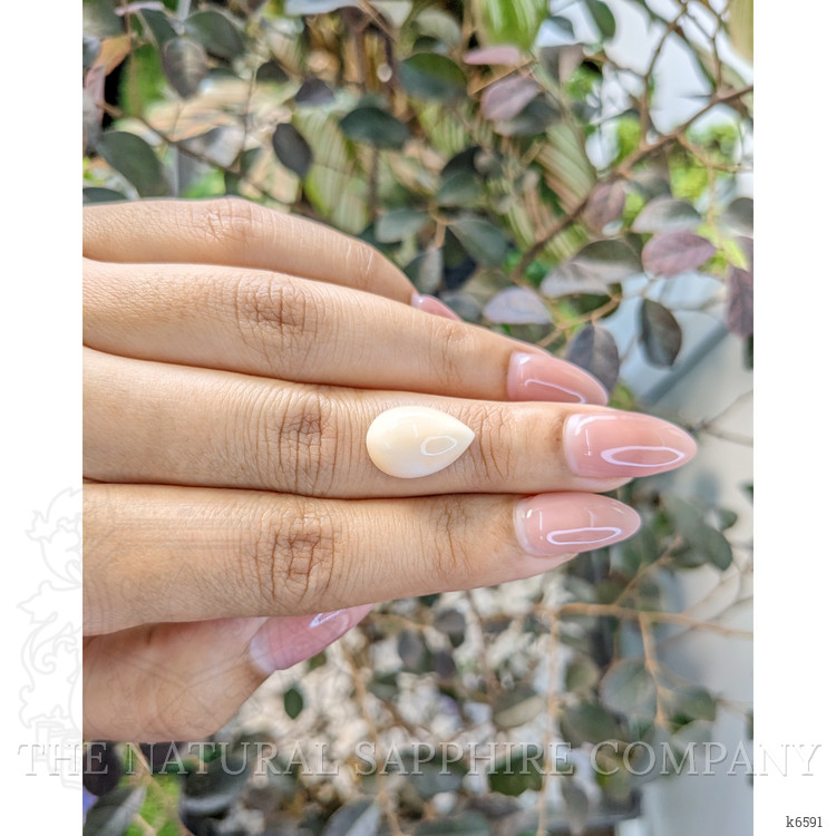 5.00 Ct. Cabochon Coral from Italy