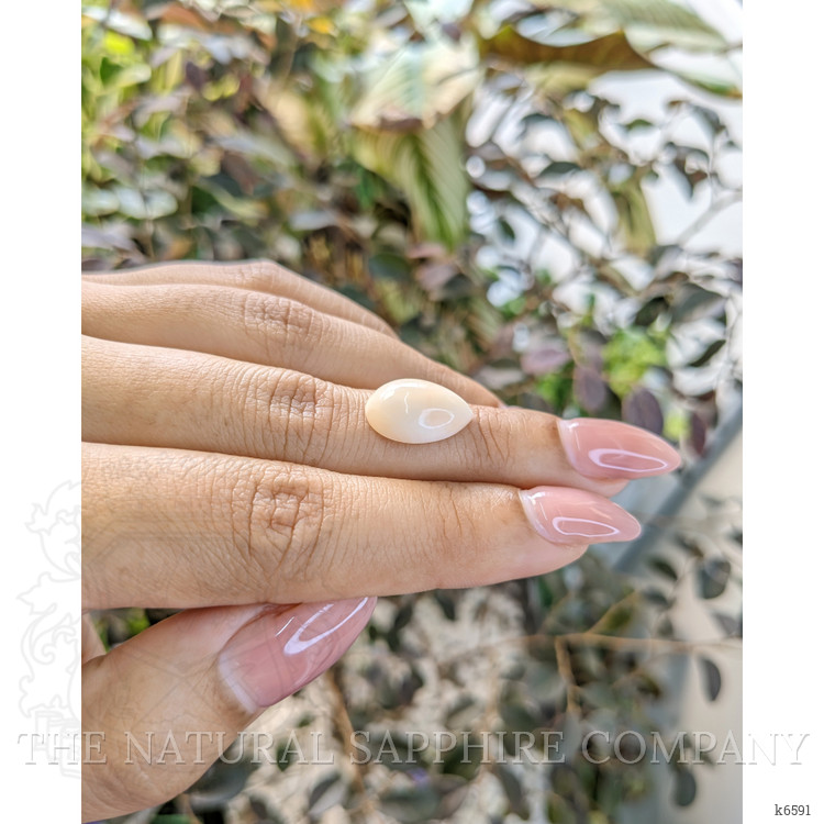 5.00 Ct. Cabochon Coral from Italy