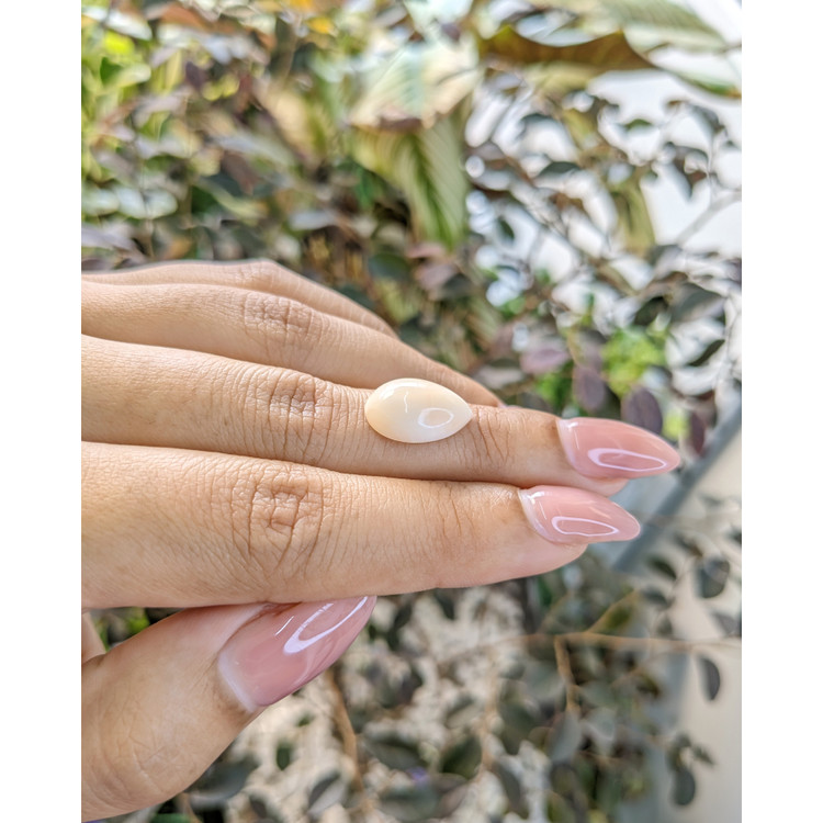 5.00 Ct. Cabochon Coral from Italy