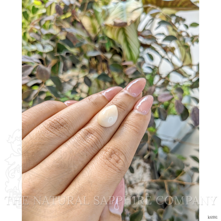 5.00 Ct. Cabochon Coral from Italy