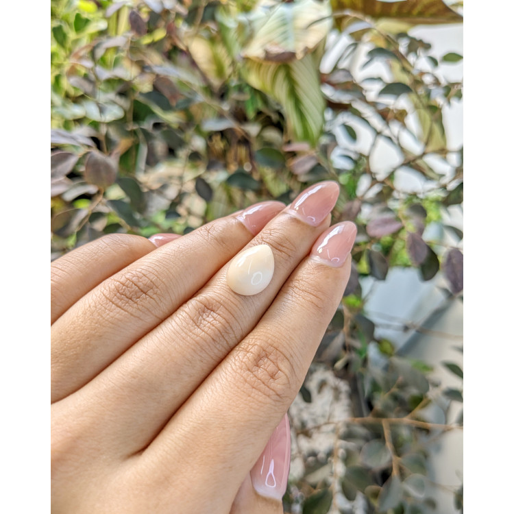 5.00 Ct. Cabochon Coral from Italy