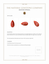 5.50 Ct. Cabochon Coral from Italy Appraisal