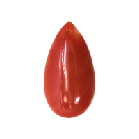 5.50 Ct. Cabochon Coral from Italy Video
