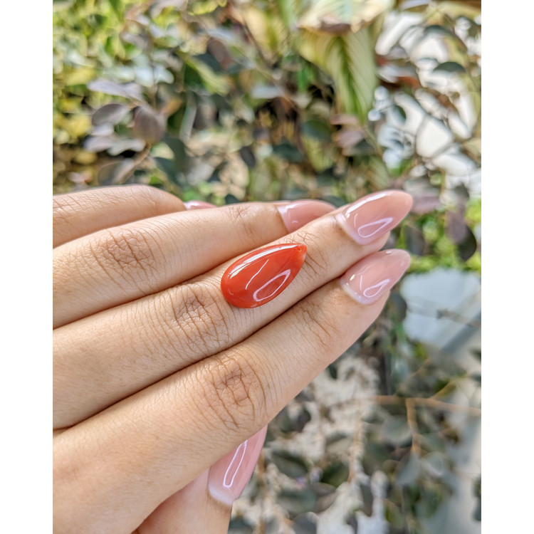 5.50 Ct. Cabochon Coral from Italy