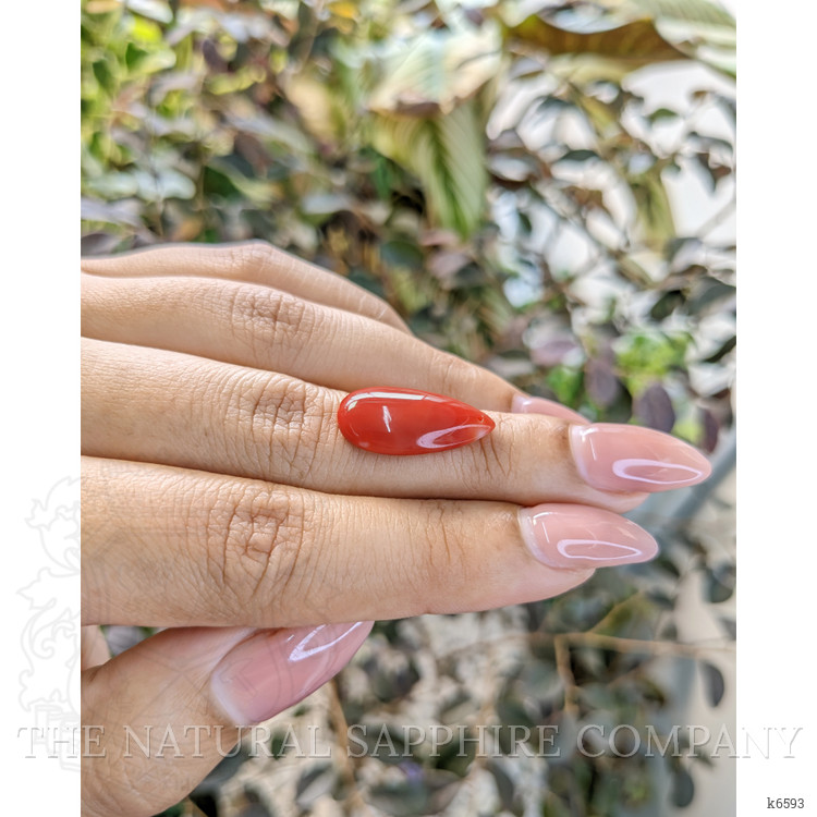 5.50 Ct. Cabochon Coral from Italy