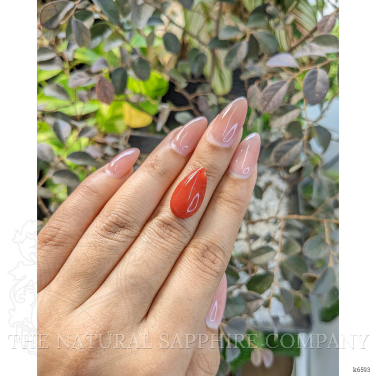 5.50 Ct. Cabochon Coral from Italy