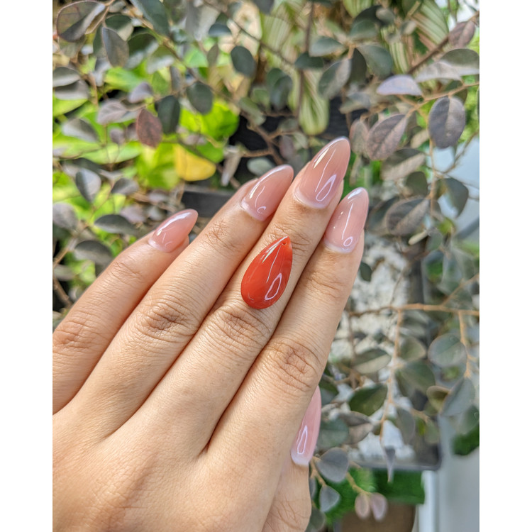 5.50 Ct. Cabochon Coral from Italy