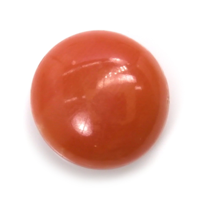 6.10 Ct. Cabochon Coral from Malaysia Video