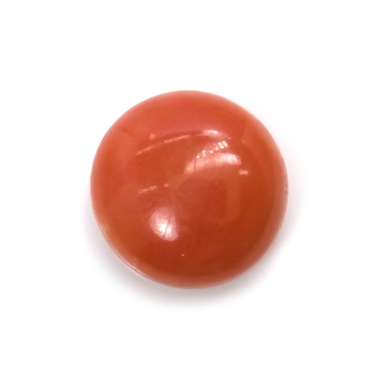 6.10 Ct. Cabochon Coral from Malaysia