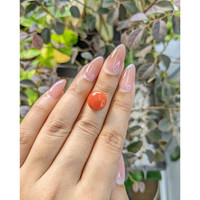 6.10 Ct. Cabochon Coral from Malaysia Life Style