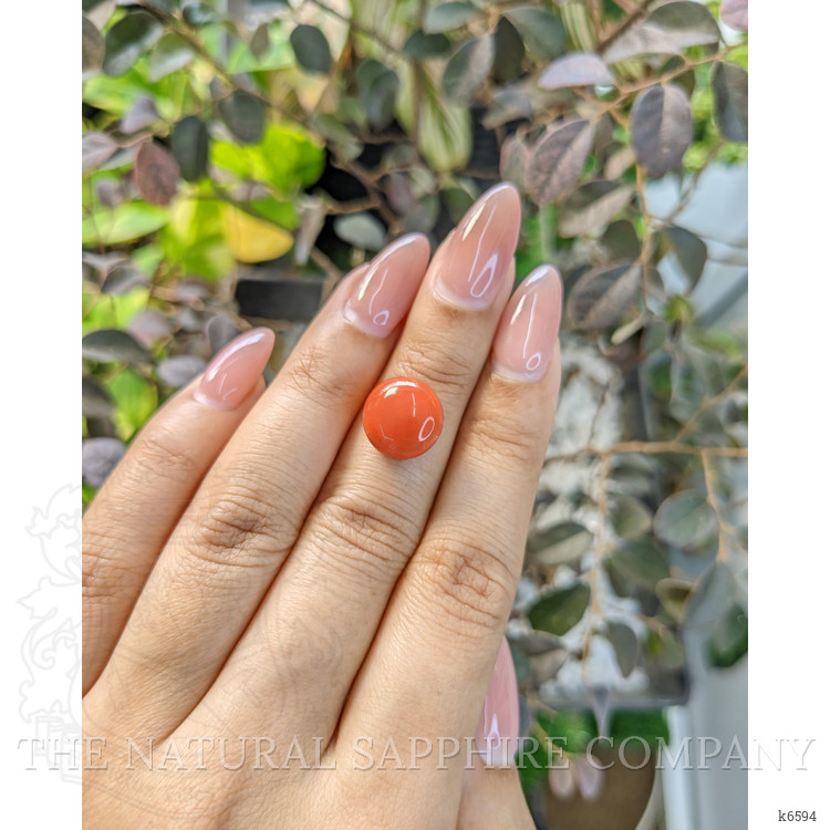6.10 Ct. Cabochon Coral from Malaysia