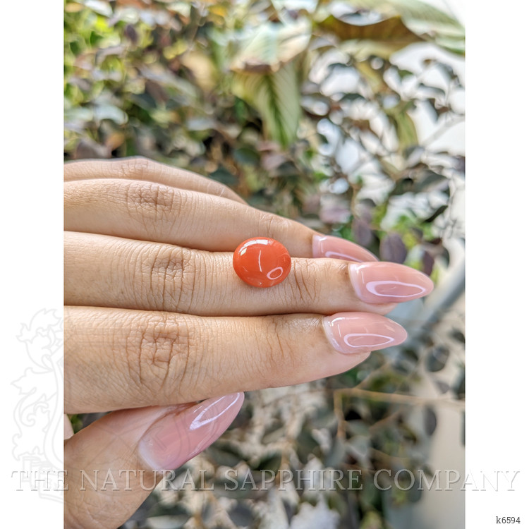 6.10 Ct. Cabochon Coral from Malaysia