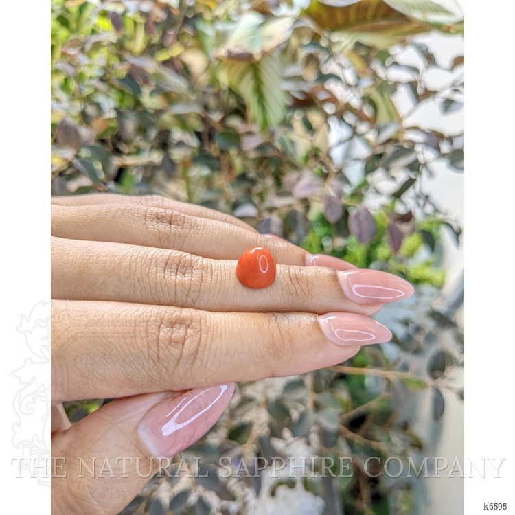 4.45 Ct. Cabochon Coral from Malaysia