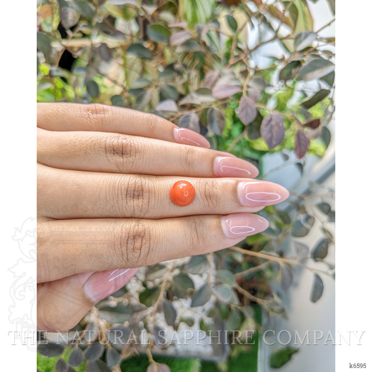 4.45 Ct. Cabochon Coral from Malaysia