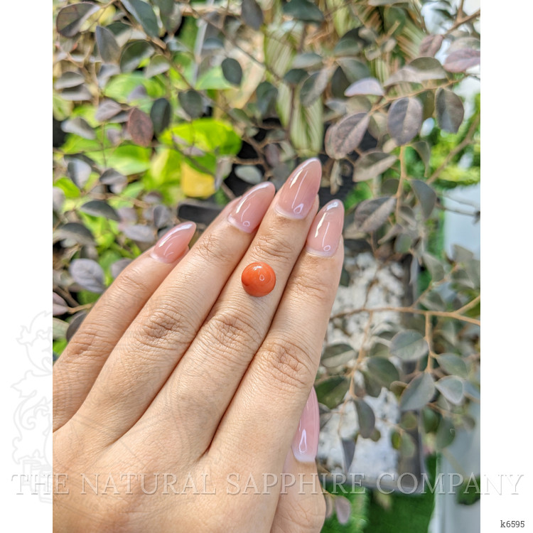 4.45 Ct. Cabochon Coral from Malaysia