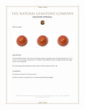3.68 Ct. Salmon (Orangish Red) Cabochon Coral from Malaysia Appraisal